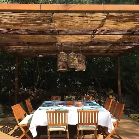 Sa Rota De Xito *