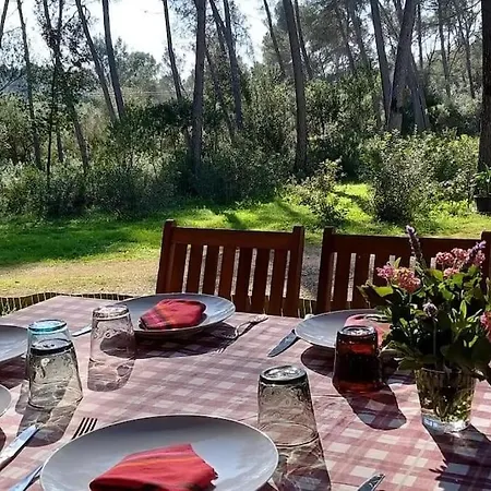 Apartment Sa Rota De Xito